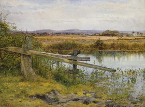 Vejkanten, 1862 af John Edward Newton