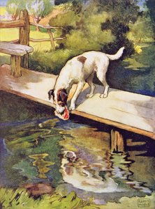 The Dog and the Shadow fra 