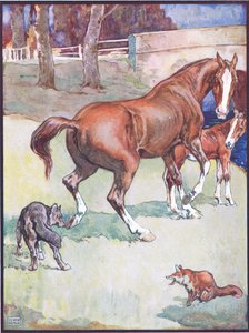 The Mare Lifted Her Hoof, illustration til Reynard the Fox, fra Animal Legends from Many Lands, udgivet af Raphael Tuck & Sons Ltd. af John Edwin Noble