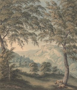 Matlock High Tor, Derbyshire af John Emes