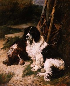 Brun og hvid og sort og hvid spaniel af John Emms