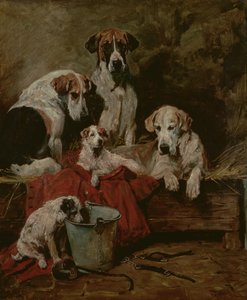 Kennel ledsagere af John Emms