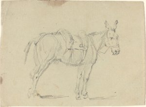 Æsel, der strækker et bagben af John Flaxman