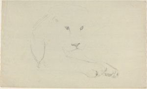 Løve af John Flaxman