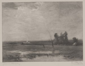 Lowlands Afternoon, tryk lavet af Timothy Cole (1852-1931)
