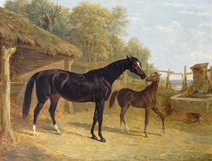 Levity, ejendom af J.C.Cockerill Esq., med hendes føl dronning Elizabeth, ejendom af Lord Dorchester, 1843