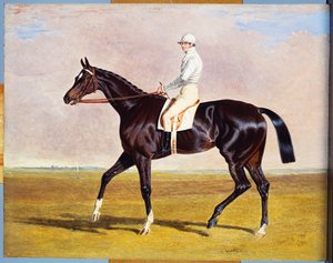 Lucetta" med J. Robinson Up, 1834 af John Frederick Herring Senior