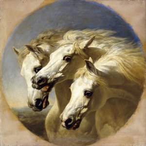 Faraos heste, 1848