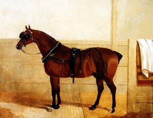 Præmie Shire Hest i Sele af John Frederick Herring Senior