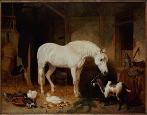 Stabile ledsagere af John Frederick Herring Senior