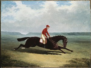 Baronen med Bumpy Up, på Newmarket af John Frederick Herring Senior
