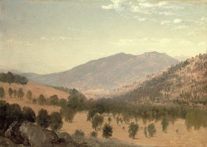 Bergen Park, Colorado (olie på lærred) af John Frederick Kensett