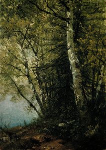 Studie af bøge, 1872. af John Frederick Kensett