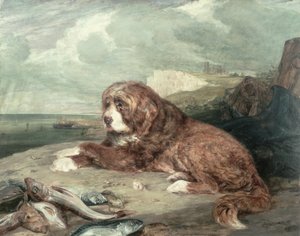 En gammel Newfoundlandshund af John Frederick Lewis