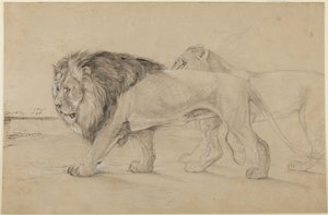 Løver af John Frederick Lewis