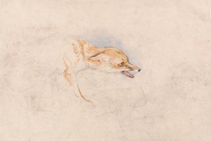 Studie af en hugsiddende ræv, der vender mod højre af John Frederick Lewis