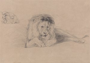 Studie af en løve og studie af en løvindes hoved af John Frederick Lewis