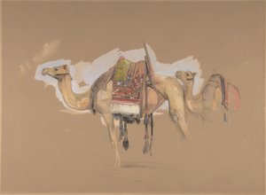 To kameler, ca. 1843. af John Frederick Lewis