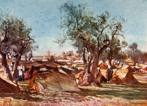 Beduinlejr uden for Jerusalems nordmur, 1902. af John Fulleylove