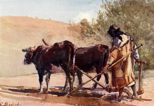 Pløjning på Oliebjerget, 1902. af John Fulleylove