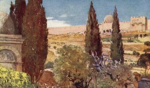 Cypresserne i Getsemane-haven af John Fulleylove