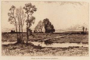Hede i New Forest, nær Lyndhurst (kobberstik)