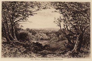 New Forest fra nærheden af Castle Malwood (gravering)
