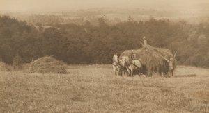 Læsning af hø, 1890-1900 (foto) af John G. Bullock