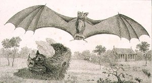 Vampyren eller spøgelset fra Guyana af John Gabriel (after) Stedman
