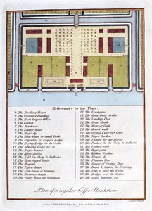 Plan over en almindelig kaffeplantage, 1813