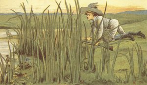 Andeskydning (farve litho)