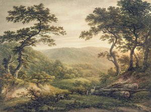 Needlewood Forest, Hampshire (akvarel på papir) af John Glover