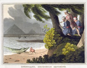 Egyptians Crocodile Catching, graveret af Matthew Dubourg (fl.1785-1820), udgivet af Edward Orme