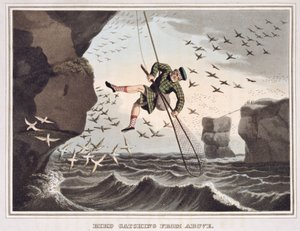 Bird Catching from Above, graveret af Matthew Dubourg (fl.1785-1820), udgivet af Edward Orme, 1813 af John Heaviside Clark