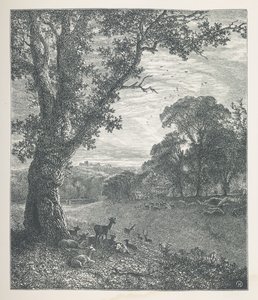 Plade 3. Hjorte omkring et træ.  Naturbilleder. En serie på tredive originale illustrationer tegnet på træ af J. H. Dell og graveret af R. Paterson.  John Henry Dell
