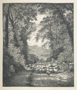 Plade 4. Får bliver drevet af en hyrde langs en sti.  Naturbilleder. En serie på tredive originale illustrationer tegnet på træ af J. H. Dell og graveret af R. Paterson.  John Henry Dell