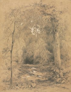Skovinteriør, ca. 1870.