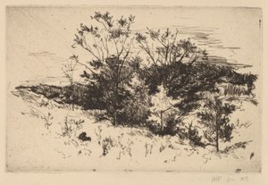 Efterår Avondale af John Henry Twachtman