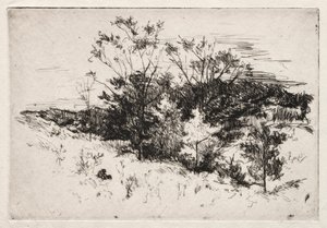 Efterårslandskab, 1879-80. af John Henry Twachtman