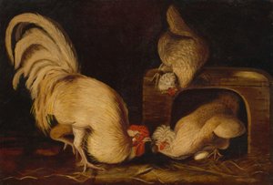 Farmyard Fowls, ca. 1827 (olie på lærred) af John James Audubon