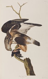 Illustration fra 