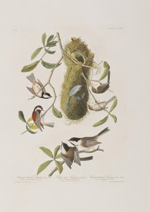 Illustration fra 