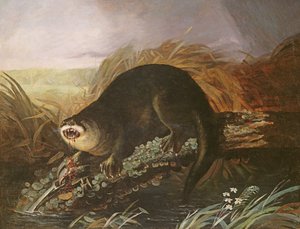 Otter fanget i en fælde af John James Audubon