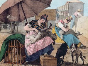 Hundeklipper på Pont-Neuf