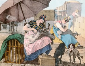 Hundefrisørerne, 1820