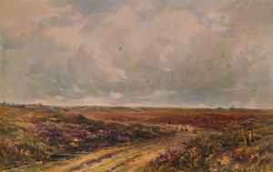 Stormy Day on a Surrey Common, 19.-20. århundrede, 1935