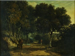 En skyggefuld landevej