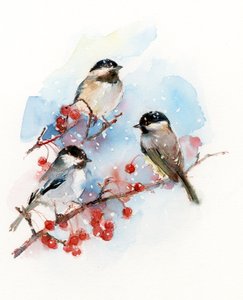 Chickadees with Berries, 2017, (akvarel)