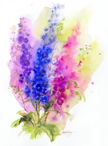 Delphinium, 2016, (akvarel)