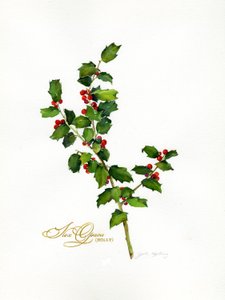 Holly botanical, 2013, (akvarel) af John Keeling